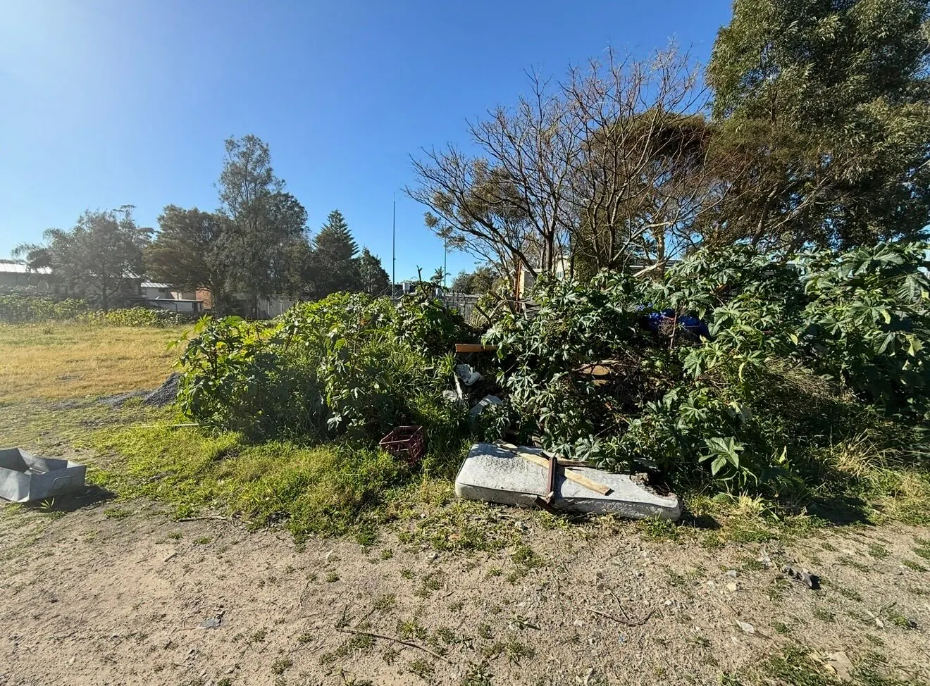 Project-images Ausgrid-Electrical-Substation-Hamilton-South-NSW-Soil-Remediation IMG-9016
