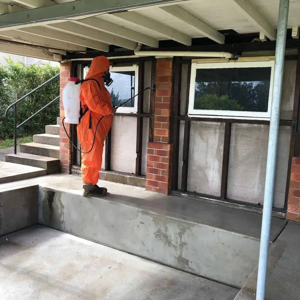 mould-removal-central-coast